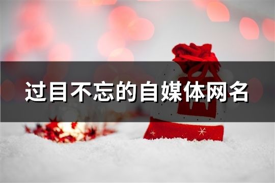 過目不忘的自媒體網名(57個)
