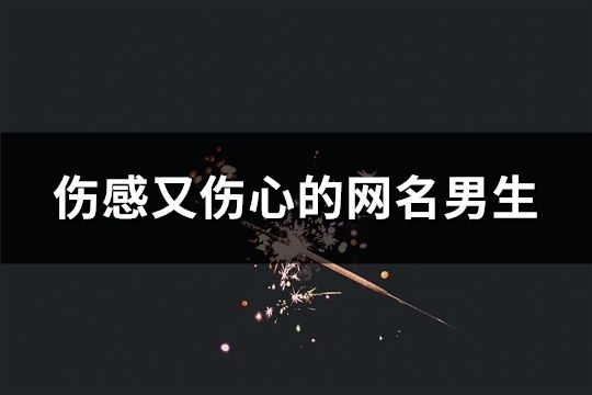 傷感又傷心的網(wǎng)名男生(34個)