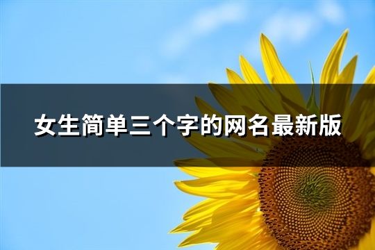 女生簡單三個字的網名最新版(共196個)