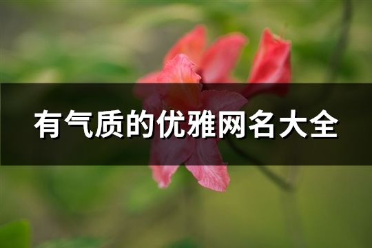 有氣質的優雅網名大全(精選110個)