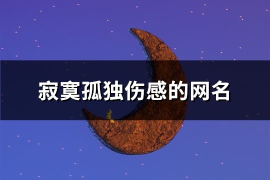 寂寞孤獨傷感的網(wǎng)名(共158個)