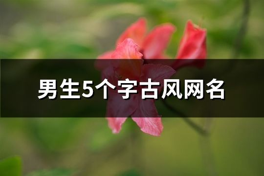 男生5個(gè)字古風(fēng)網(wǎng)名(共189個(gè))
