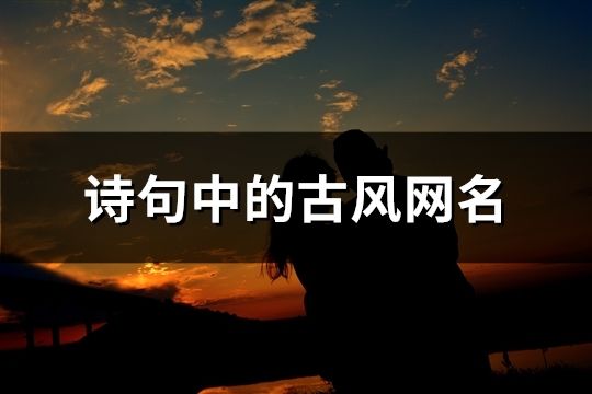 詩句中的古風網名(共173個)