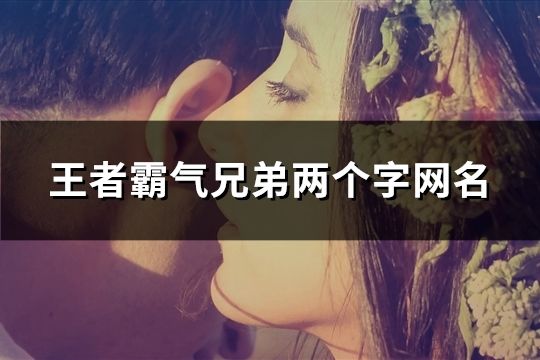 王者霸氣兄弟兩個字網名(65對)