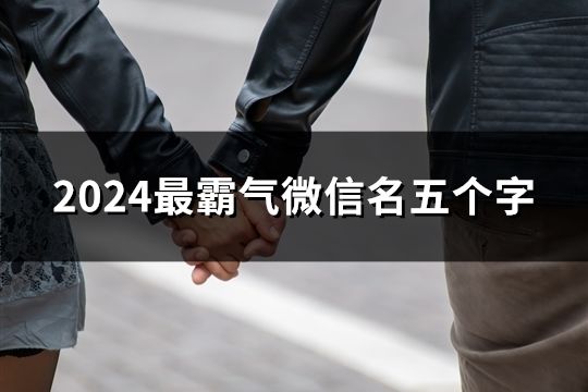 2024最霸氣微信名五個字(共47個)