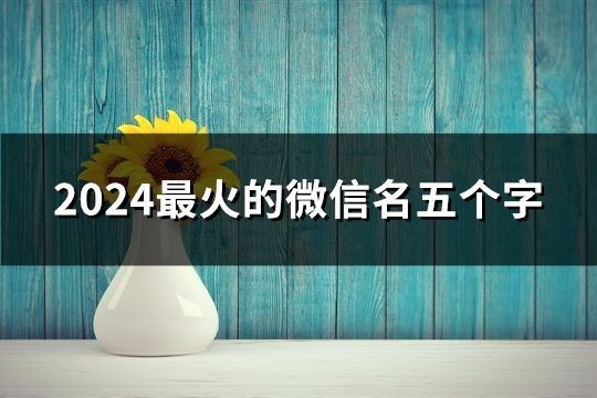 2024最火的微信名五個(gè)字(精選52個(gè))