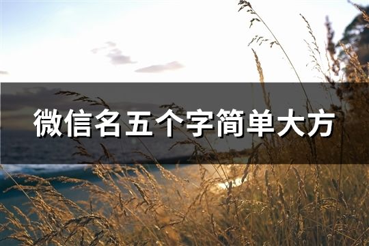 微信名五個字簡單大方(共46個)