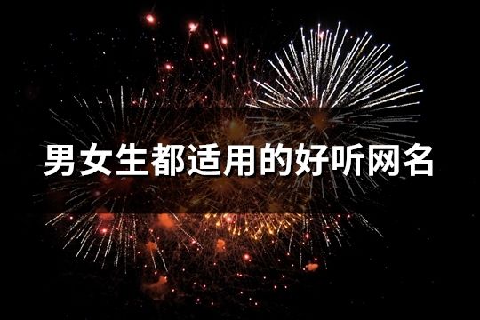 男女生都適用的好聽網(wǎng)名(精選109個(gè))