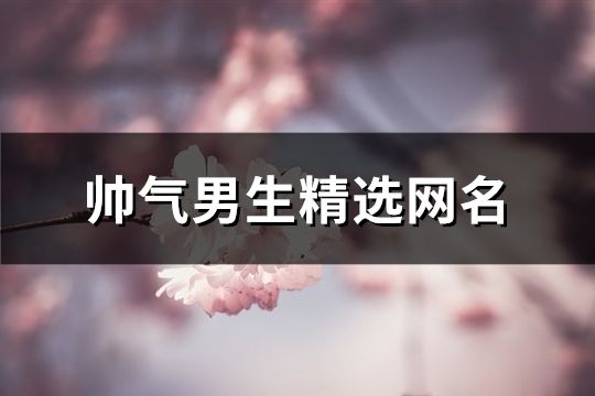 帥氣男生精選網名(精選166個)