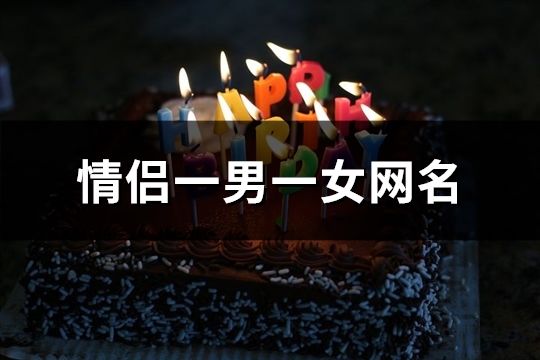 情侶一男一女網名(180對)