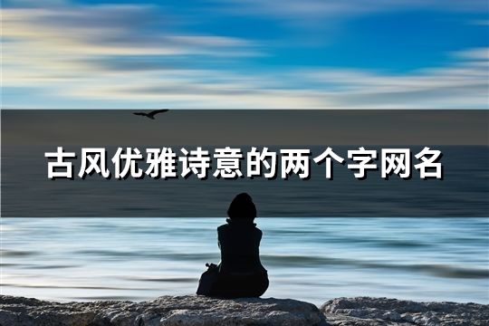 古風優雅詩意的兩個字網名(共100個)