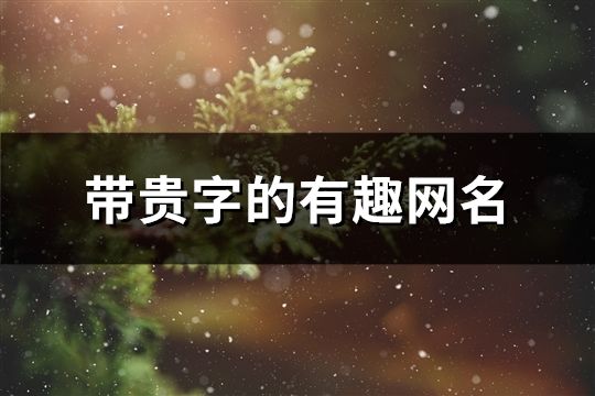 帶貴字的有趣網名(共86個)