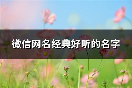 微信網名經典好聽的名字(精選199個)