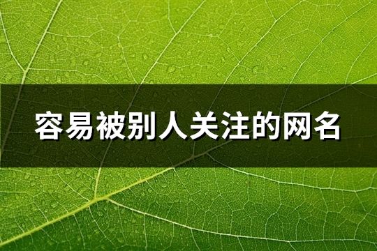 容易被別人關(guān)注的網(wǎng)名(精選34個)
