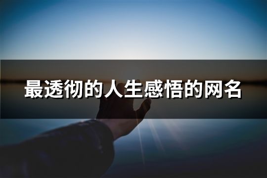 最透徹的人生感悟的網名(精選60個)