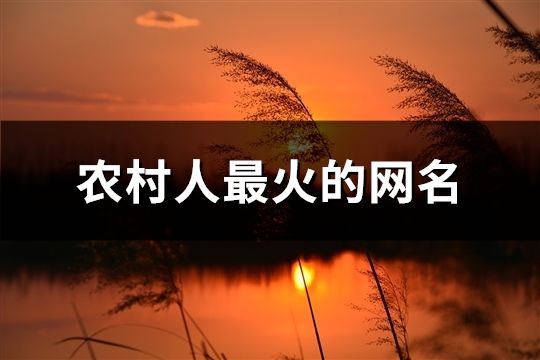 農村人最火的網名(共40個) 農村人最火的網名(共40個)