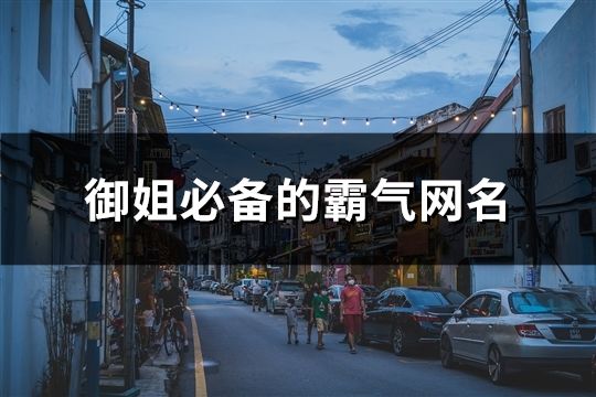御姐必備的霸氣網(wǎng)名(共173個(gè))