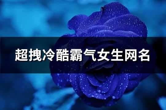 超拽冷酷霸氣女生網名(共146個)