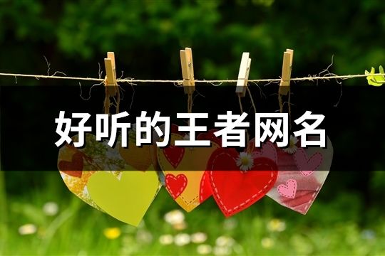 好聽的王者網名(精選83個)