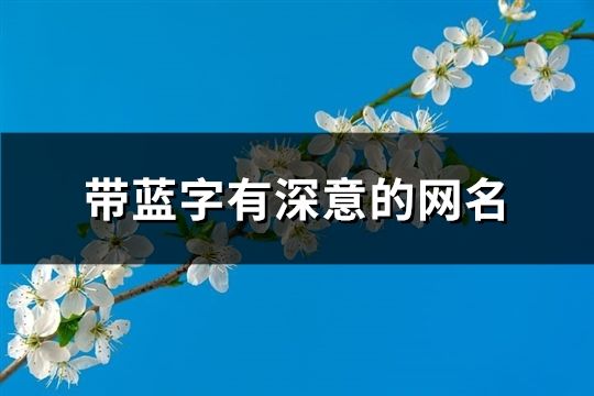帶藍(lán)字有深意的網(wǎng)名(175個(gè))