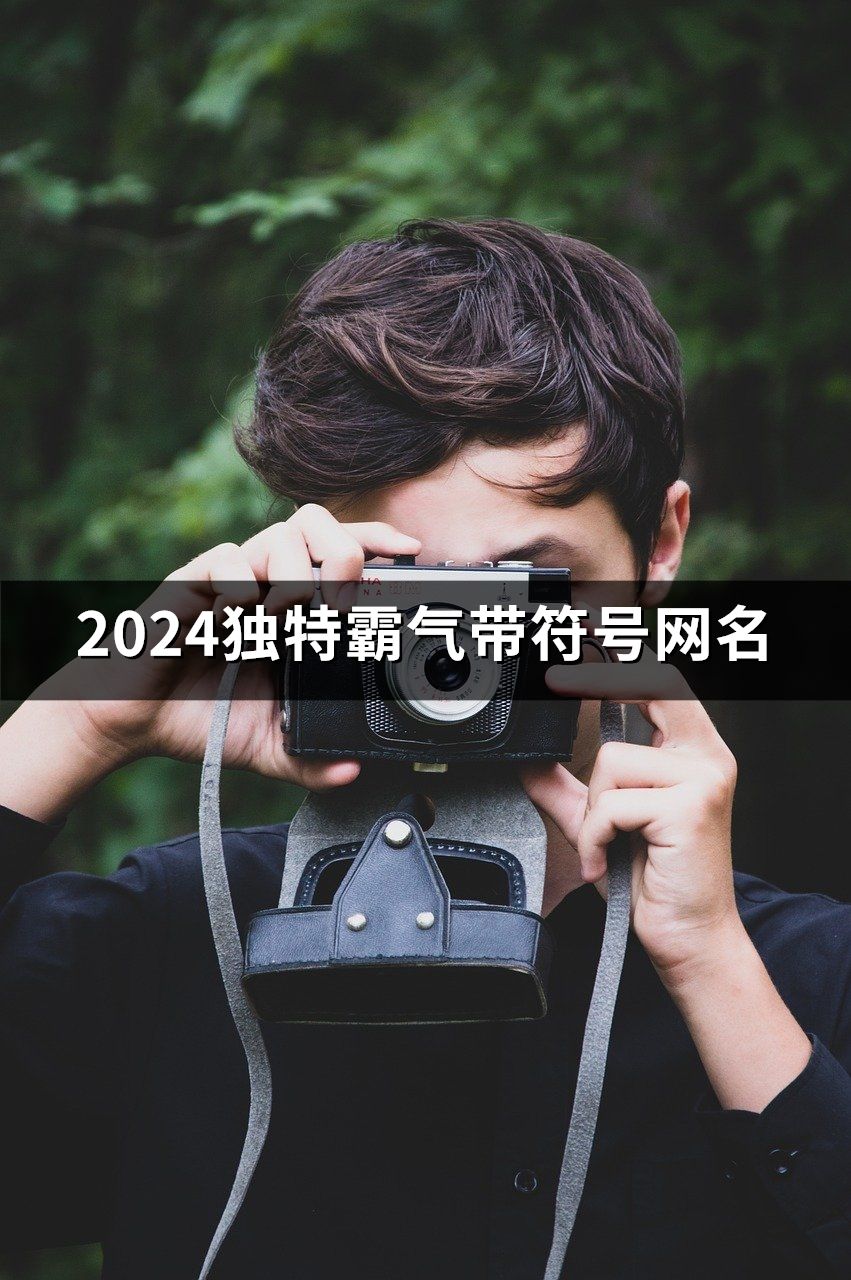 2024獨特霸氣帶符號網名(151個)