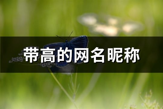 帶高的網名昵稱(158個)