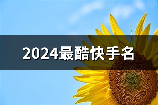 2024最酷快手名(共47個)