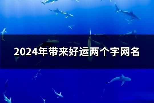 2024年帶來好運兩個字網名(共190個)