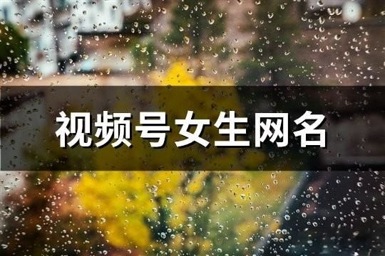 視頻號女生網(wǎng)名(593個)