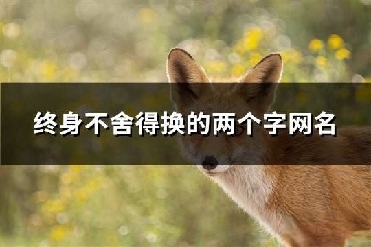 終身不舍得換的兩個字網名(97個)