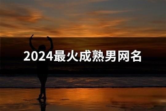 2024最火成熟男網名(1094個)