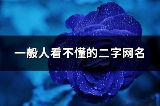 一般人看不懂的二字網名(共176個)