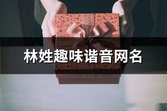 林姓趣味諧音網(wǎng)名(96個(gè))