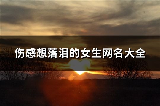 傷感想落淚的女生網名大全(精選163個)