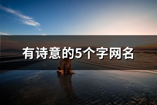 有詩意的5個字網名(精選142個)