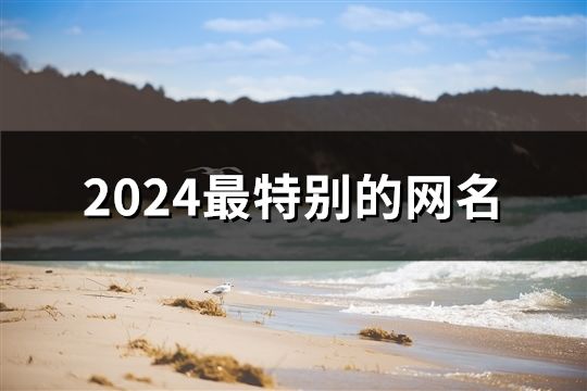 2024最特別的網名(精選131個)