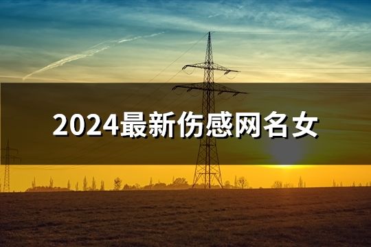 2024最新傷感網名女(精選51個)