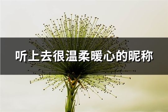 聽上去很溫柔暖心的昵稱(38個)