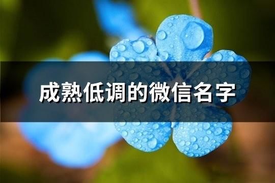 成熟低調的微信名字(118個)