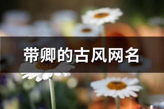 帶卿的古風(fēng)網(wǎng)名(精選179個(gè))