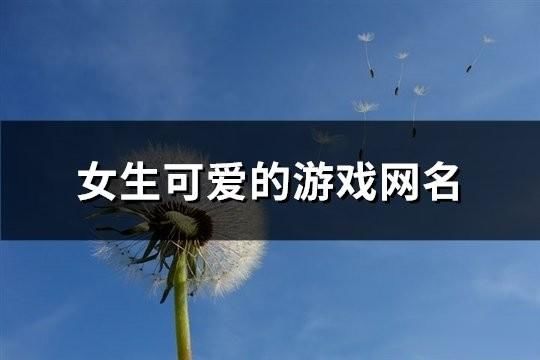 女生可愛的游戲網(wǎng)名(75個)