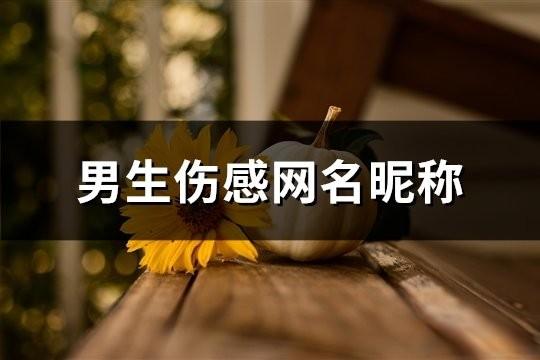 男生傷感網(wǎng)名昵稱(共155個)