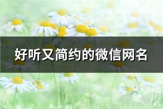 好聽又簡約的微信網名(116個)