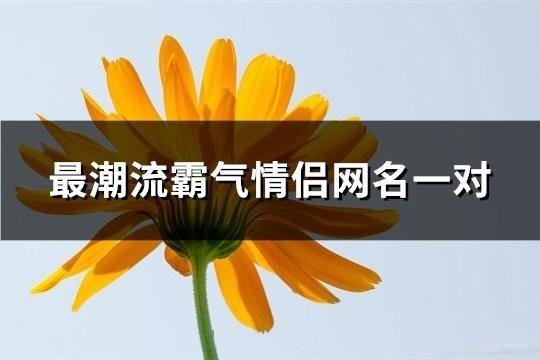 最潮流霸氣情侶網名一對(共91對)