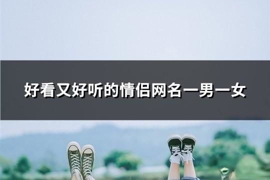 好看又好聽(tīng)的情侶網(wǎng)名一男一女(精選162對(duì))