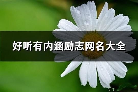 好聽有內(nèi)涵勵(lì)志網(wǎng)名大全(共180個(gè))