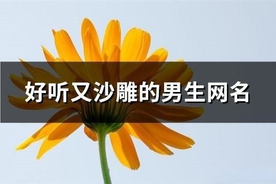 好聽又沙雕的男生網名(精選914個)