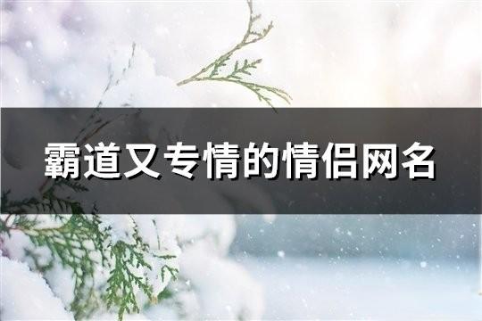 霸道又專情的情侶網名(共154對)