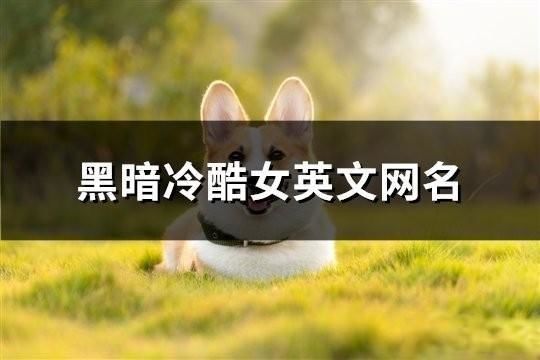 黑暗冷酷女英文網(wǎng)名(86個(gè))