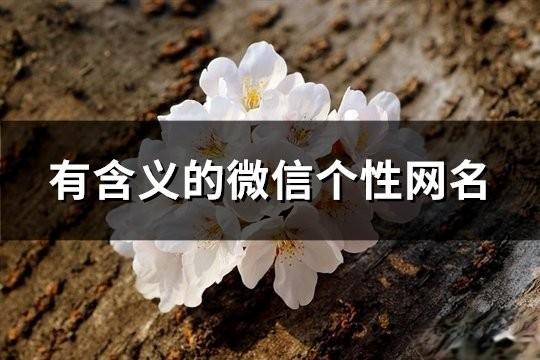 有含義的微信個性網名(共97個)